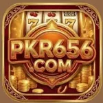 pkr656 download