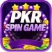pkrspin game download