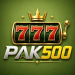 PAK 500 GAME LOGO