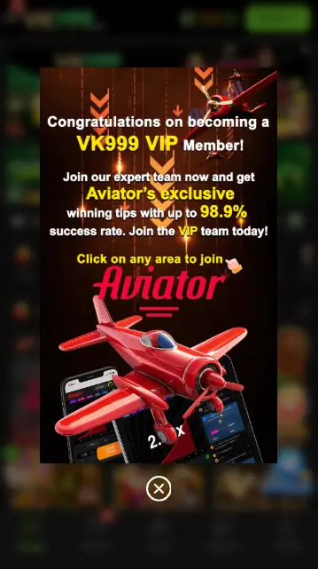 vk999 vip